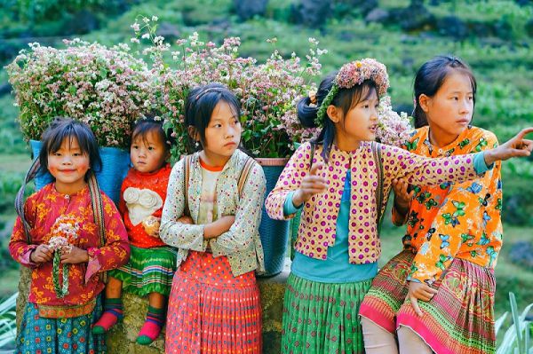 Hà Giang - Mùa tam giác mạch