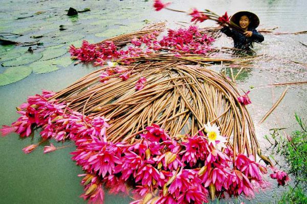 Miền Tây mùa nước nổi