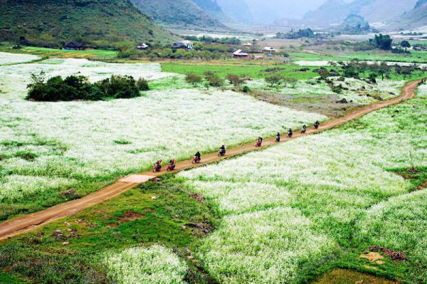 Du lịch Mộc Châu