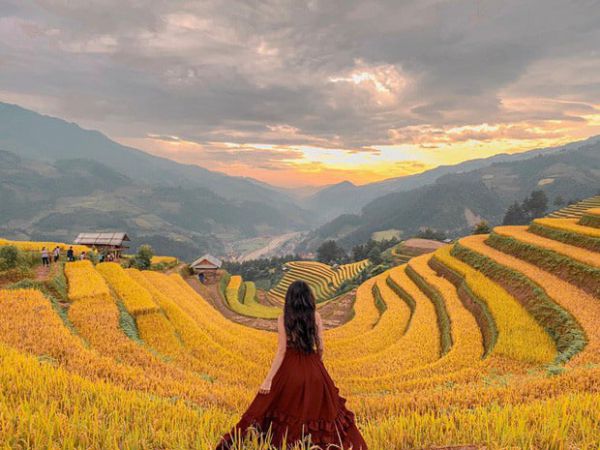 Mùa vàng trên Mù Cang Chải