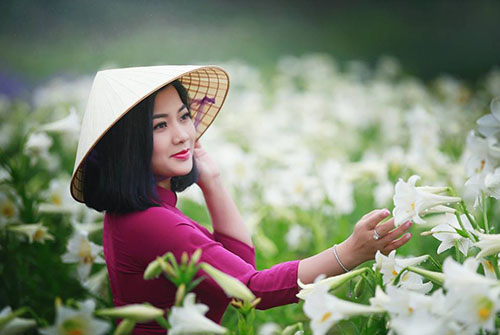 Chụp ảnh với hoa loa kèn trắng