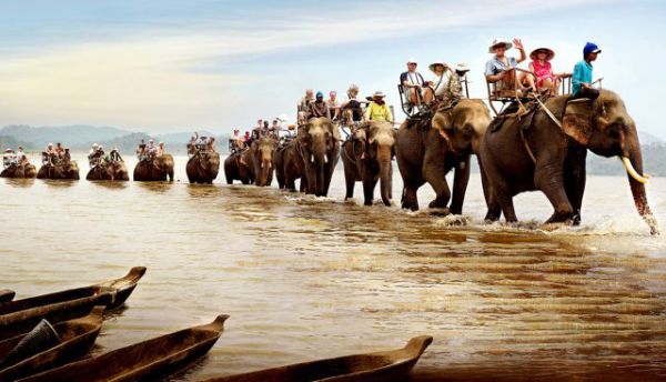 Trải nghiệm cưỡi voi vô cùng thú vị ở Buôn Đôn