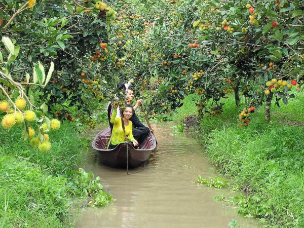 Đặt vé máy bay Buôn Mê Thuột Cần Thơ khám phá các nhà vườn xanh mướt