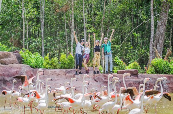 Đến Vinpearl Safari du khách sẽ được trải nghiệm nhiều hoạt động thú vị
