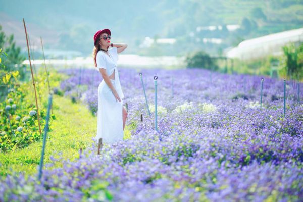 F Cánh đồng hoa điểm du lịch nhất định phải ghé thăm ở Đà Lạt