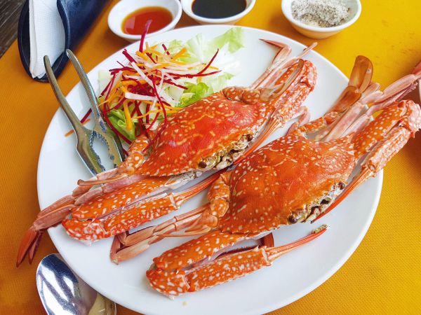 Ghẹ xanh là loại đặc sản ngon nhất ở Vịnh Lan Hạ