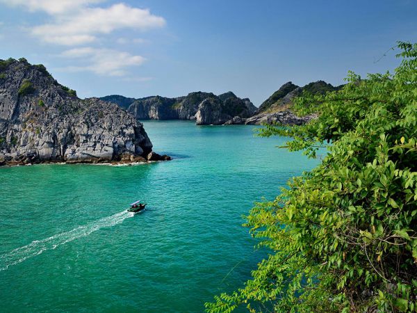 Ca nô thăm quan vịnh Lan Hạ