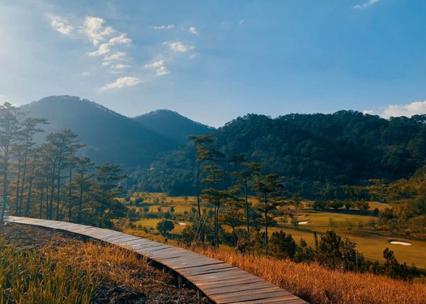 Wilder-nest Dalat - Điểm du lịch Đà Lạt tháng 11 cực hot
