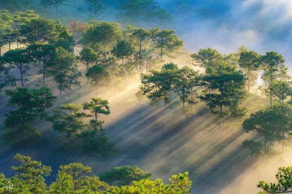 Thời tiết Đà Lạt rất thích hợp để du lịch Đà Lạt