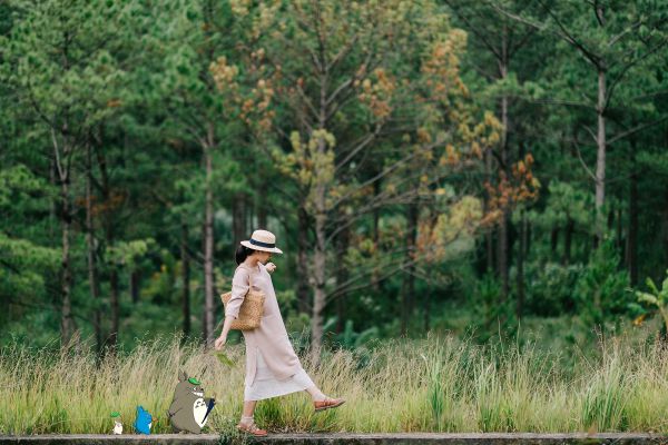 Thời tiết Đà Lạt tháng 1 rất thích hợp để du lịch trải nghiệm