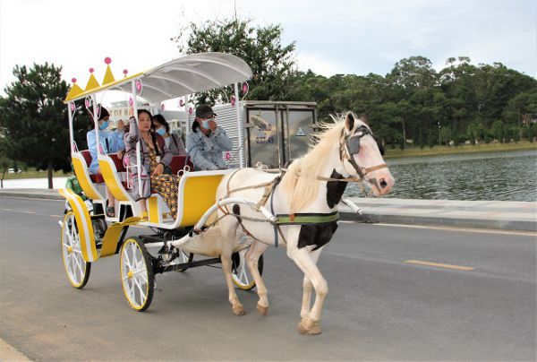 Du lịch Đà Lạt tháng 10 có nhiều trải nghiệm thú vị dành cho bạn