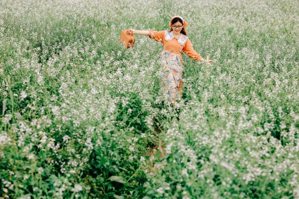 Hoa cải trắng tạo nên bức background vô cùng lãng mạn