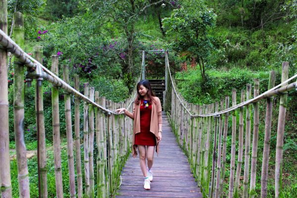 Ma rừng lữ quán - Địa chỉ sống ảo cực chất cho các bạn trẻ