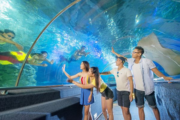 Chiêm ngưỡng tiết mục nàng tiên cá tại VinWonders (Ảnh: Sưu tầm)