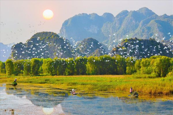 Vườn chim Thung Nham