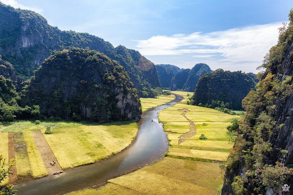 Du lịch Ninh Bình mùa nào đẹp nhất? Mùa vàng Tam Cốc - Ninh Bình