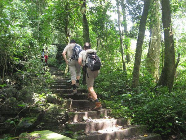Du khách trekking trong rừng Cúc Phương