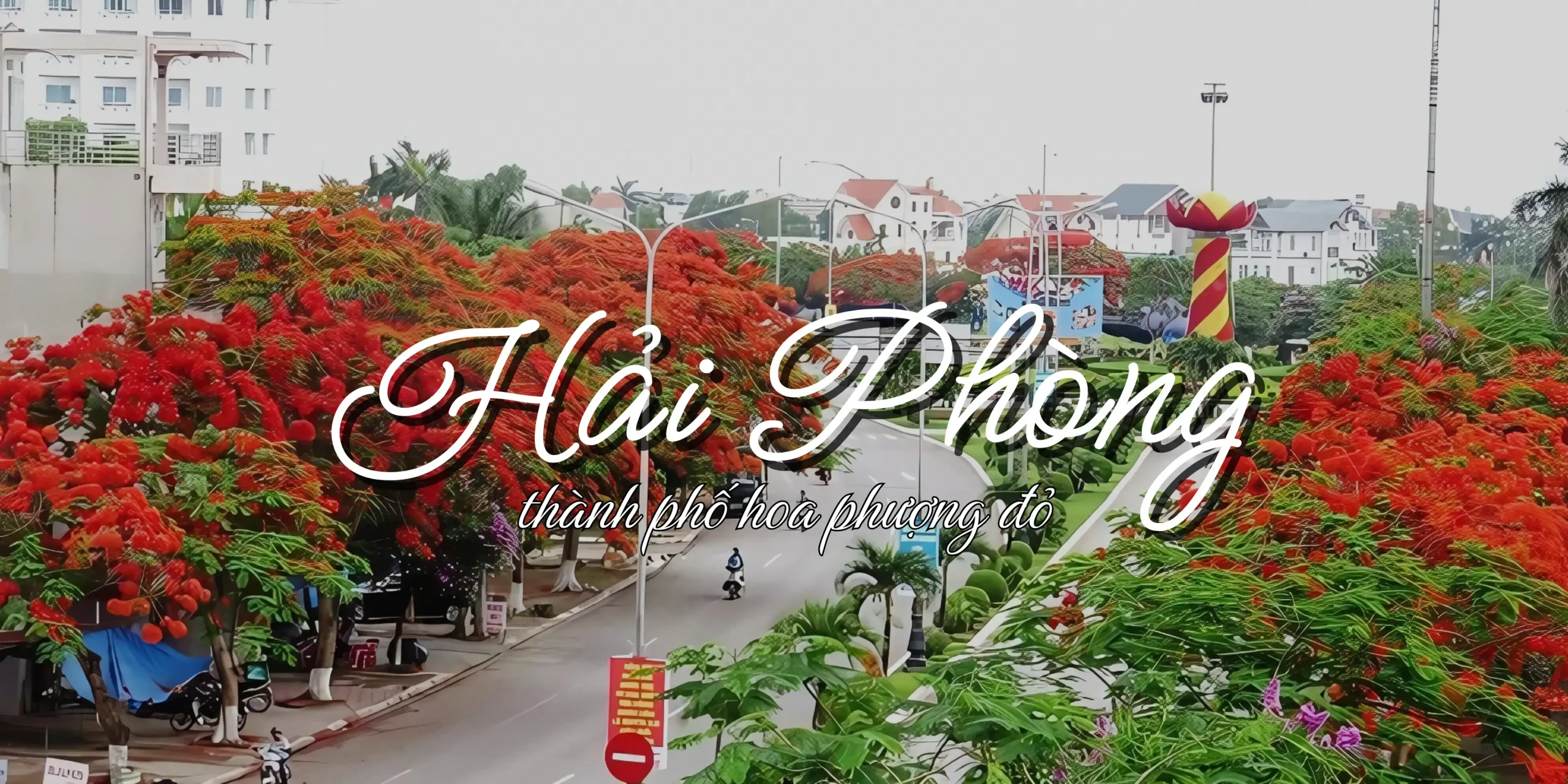 Vé máy bay Buôn Mê Thuột đi Hải Phòng giá rẻ hôm nay