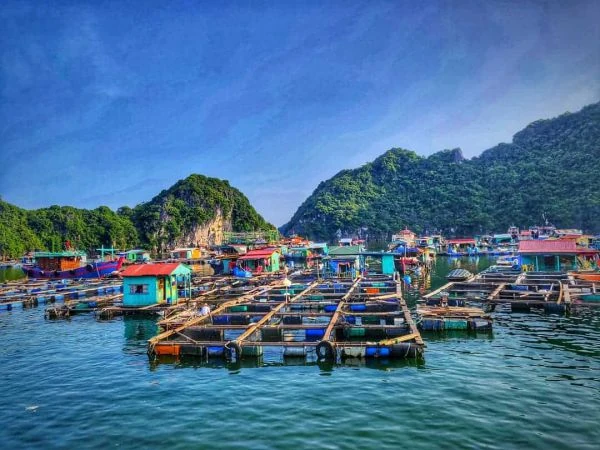 Đến Hạ Long không thể bỏ qua đảo làng Chài Cửa Vạn 