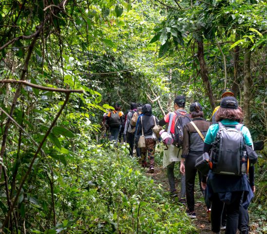 Trekking xuyên rừng Cúc Phương
