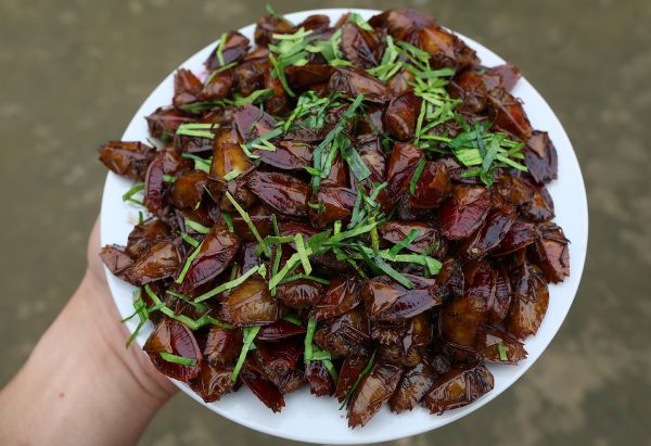 Bọ xít chiên giòn sẽ thử thách lòng dũng cảm của ban