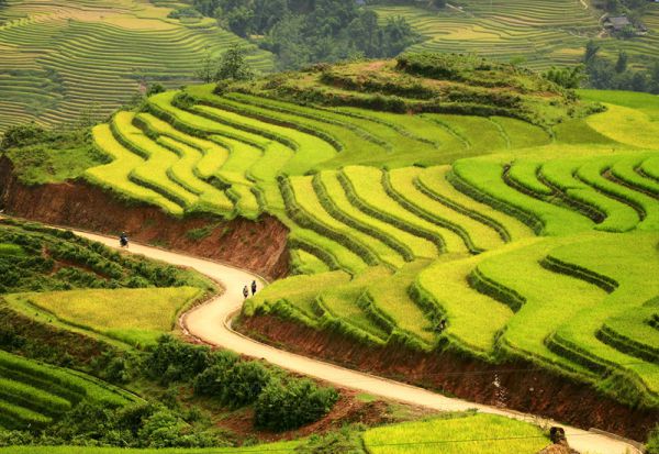 Bản Cát Cát có ruộng bậc thang tuyệt đẹp