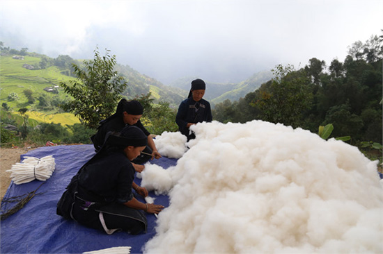 Du lịch Hoàng Shu Phì, không thể thiếu buổi tham quan Bản Phùng