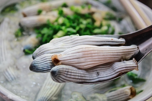 Cháo sá sùng