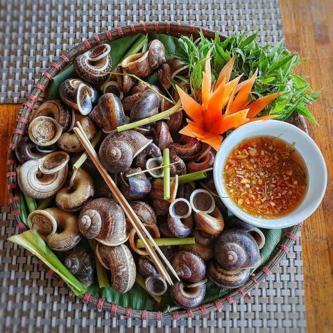 Ốc núi Hoa Lư Ninh Bình