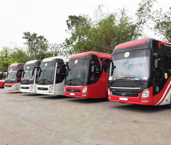 Có nhiều hãng xe đi Tây Ninh uy tín để bạn lựa chọn