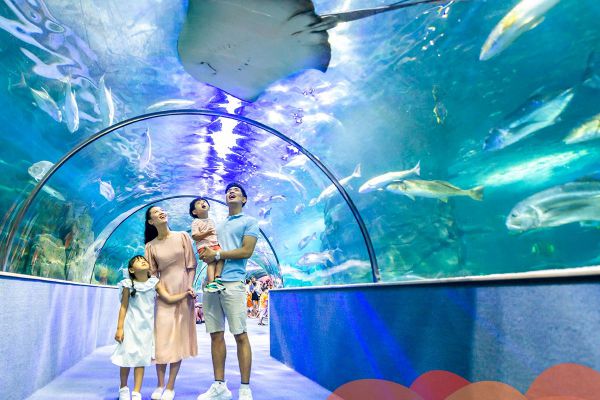 Cung điện Hải Vương với muôn loài cá xinh đẹp