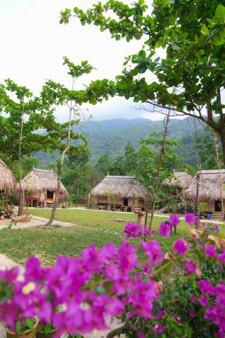 Cảnh quan tuyệt đẹp tại suối Hoa