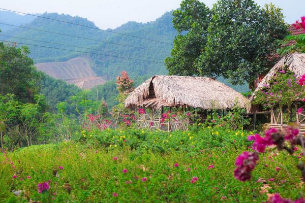 Mùa hè là thời điểm lý tưởng nhất là vào mùa hè