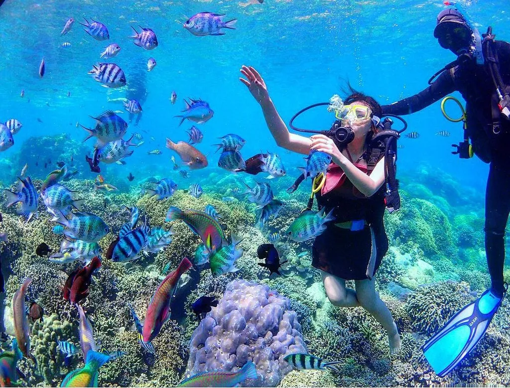 Lặn biển ngắm san hô tại hòn Mun Nha Trang