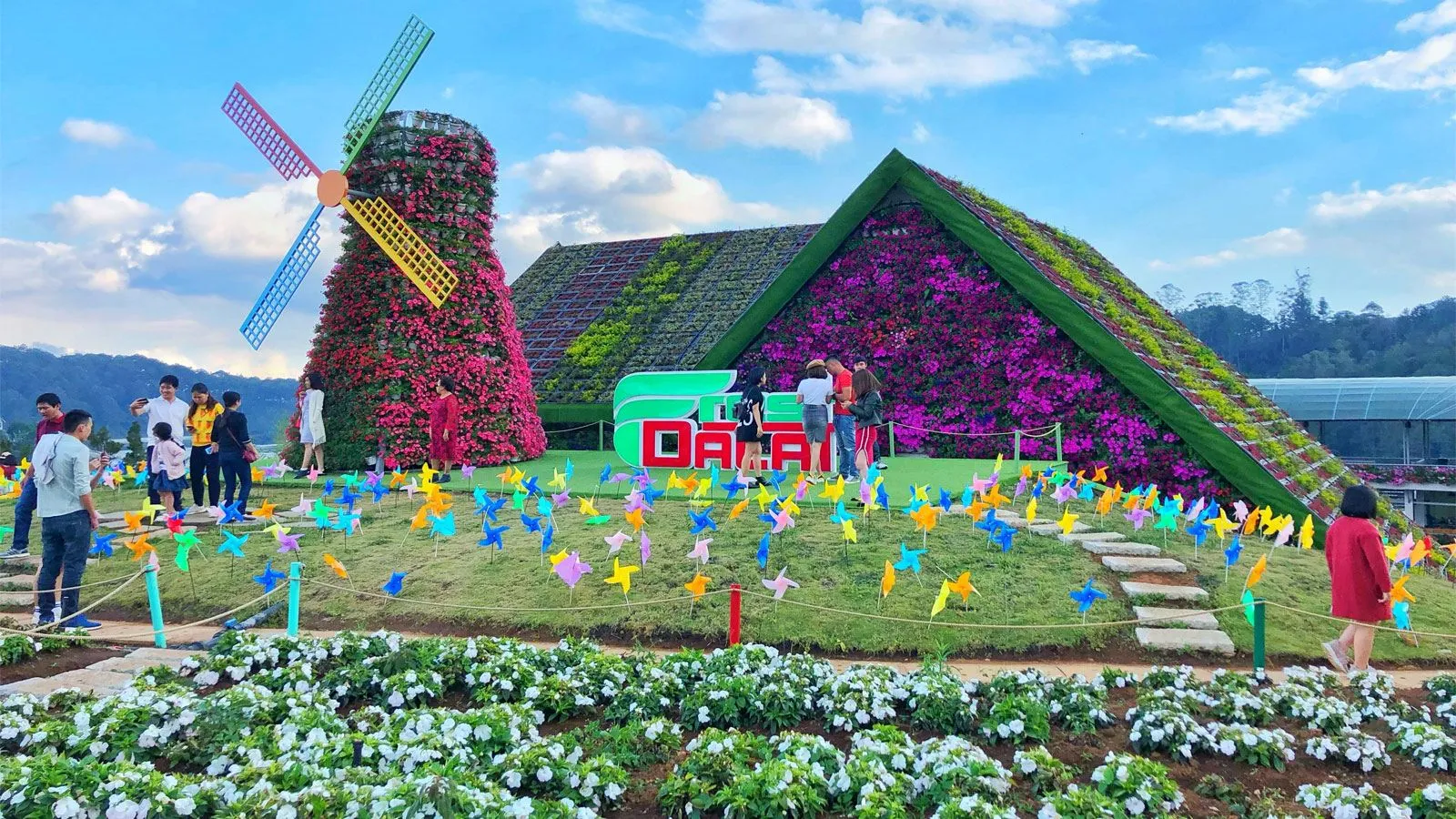 Vẻ đẹp rực rỡ của vườn hoa Đà Lạt