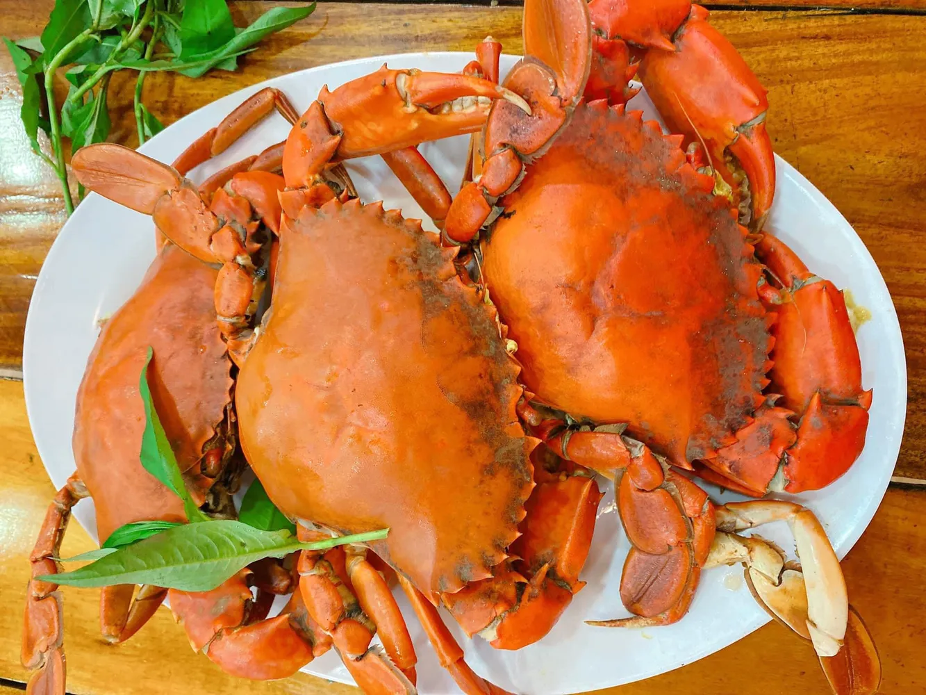 Cua Cà Mau có thịt chắc, ngọt