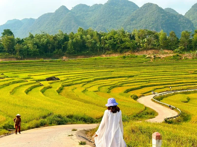 Khu bảo tồn thiên nhiên Pù Luông, Thanh Hoá