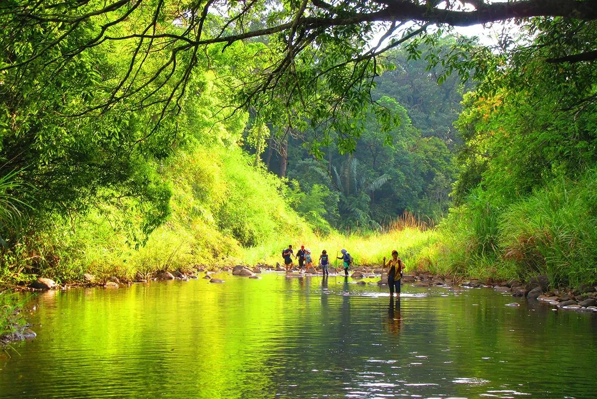 Du khách trải nghiệm trekking tại vườn quốc gia Bù Gia Mập