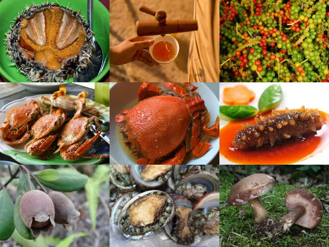 Nên du lịch Nha Trang hay Phú Quốc - Đặc sản Phú Quốc