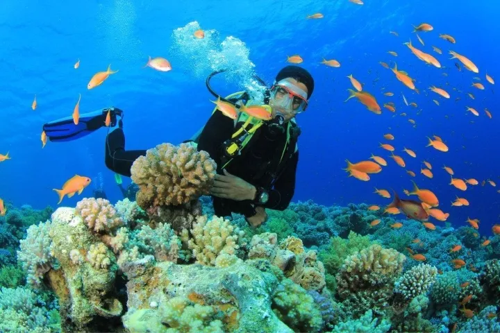 Trải nghiệm lặn biển tại Hòn Mun Nha Trang