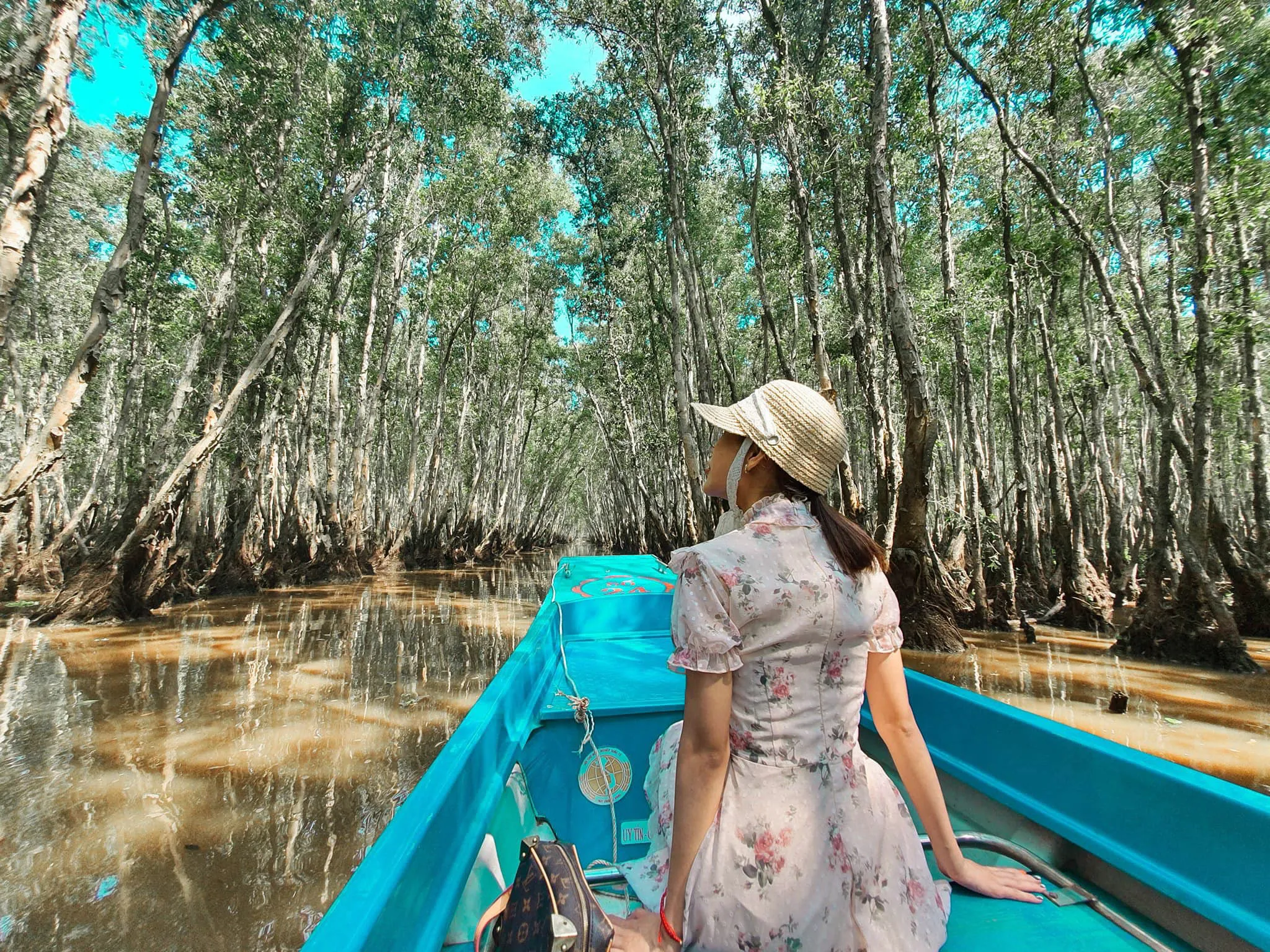 Trà Sư là khu rừng tràm đẹp nhất và nổi tiếng nhất Việt Nam