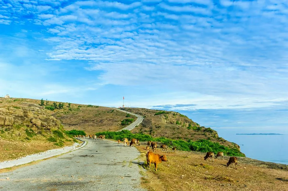 Đảo Lý Sơn - Thiên đường giữa biển khơi