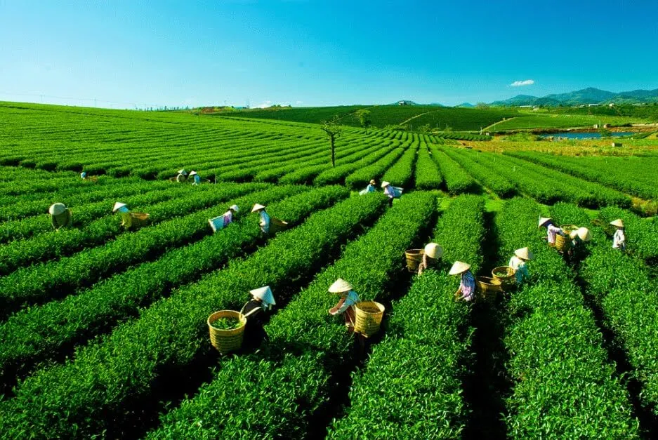 Khoảng cách từ Hà Nội đến Thái Nguyên bao nhiêu km
