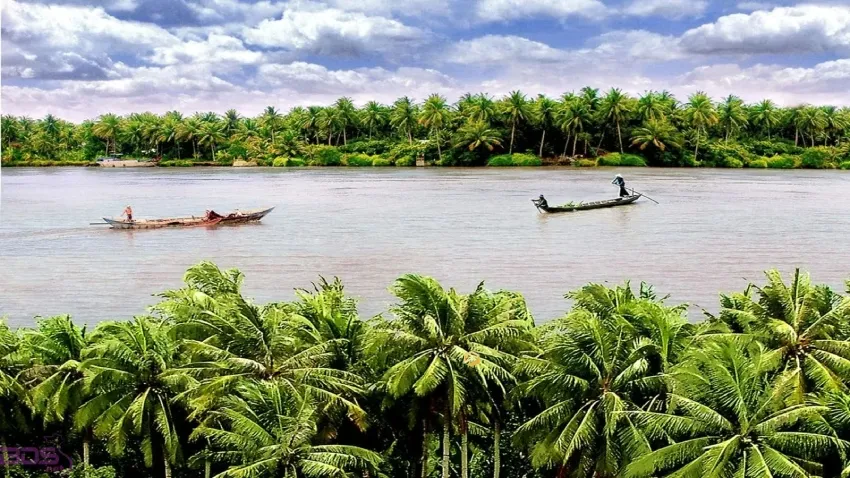 Ghé Cồn Mỹ Phước trải nghiệm du lịch sinh thái miệt vườn