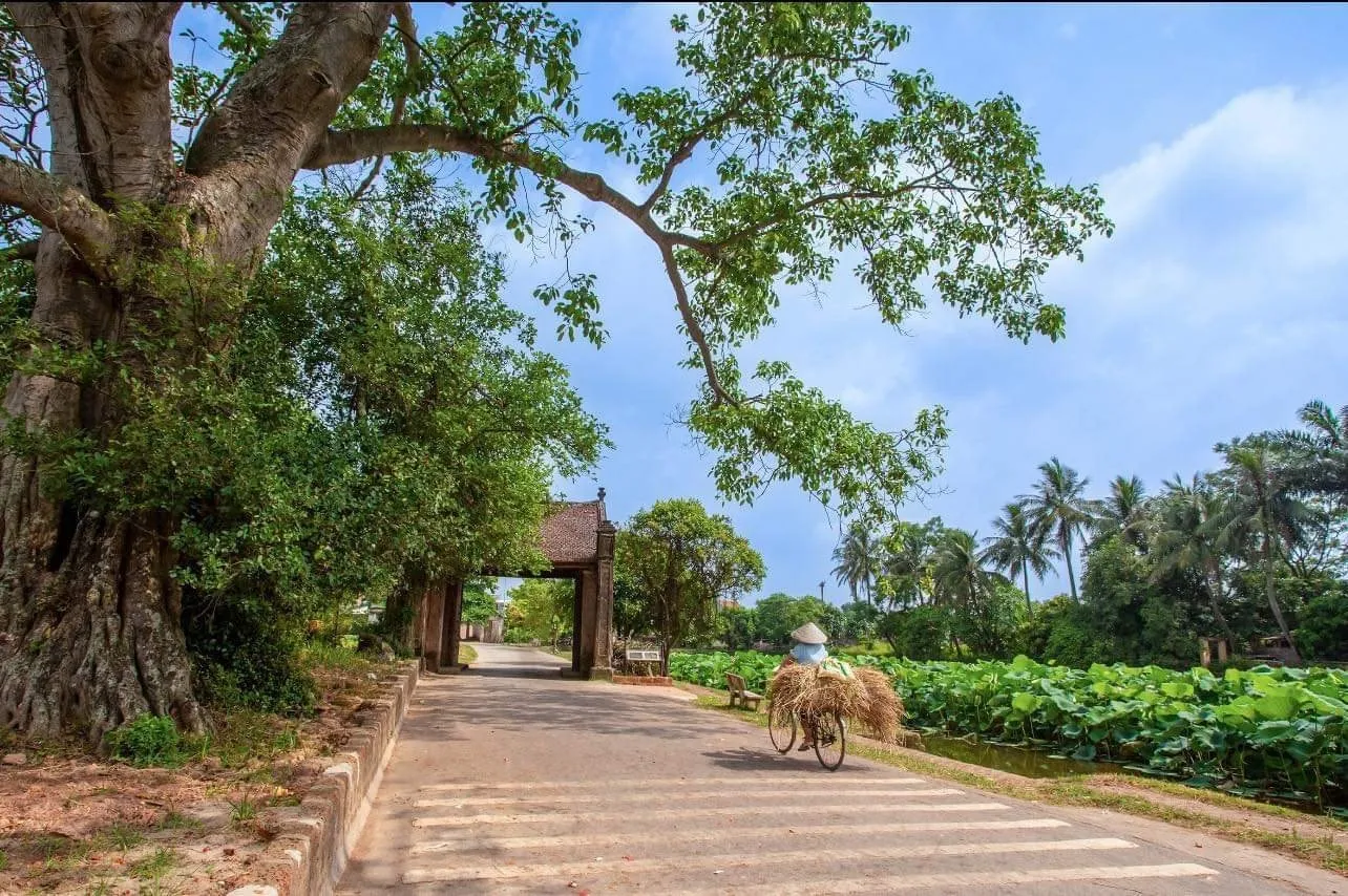 Du khách có thể tham quan làng cổ Đường Lâm và tìm hiểu làng nghề ở đây