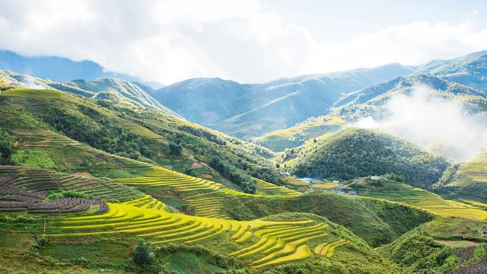 Sapa nổi bật với những thửa ruộng bậc thang vô cùng đẹp mắt