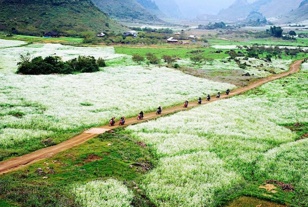 Bản Pa Phách được biết là thiên đường hoa quyến rũ của núi rừng Tây Bắc