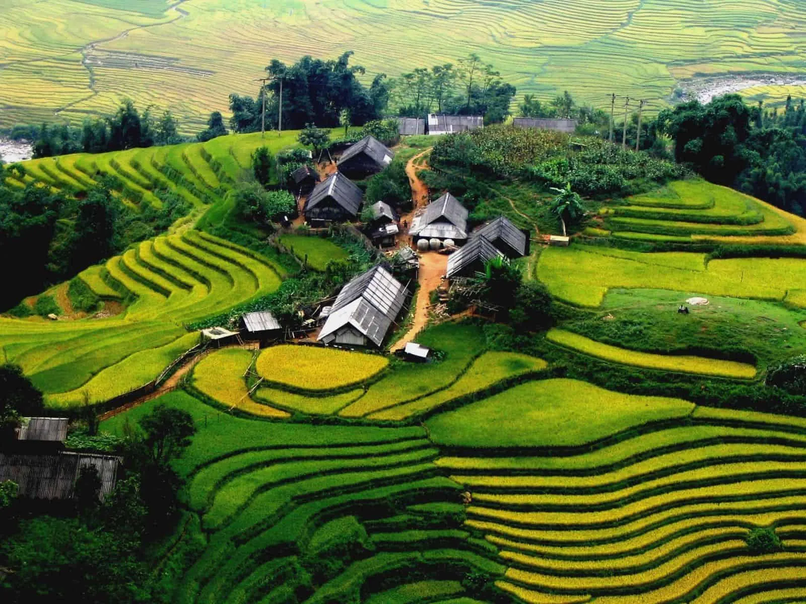 Bản Tà Phìn nổi bật với vẻ đẹp mộc mạc, bình dị