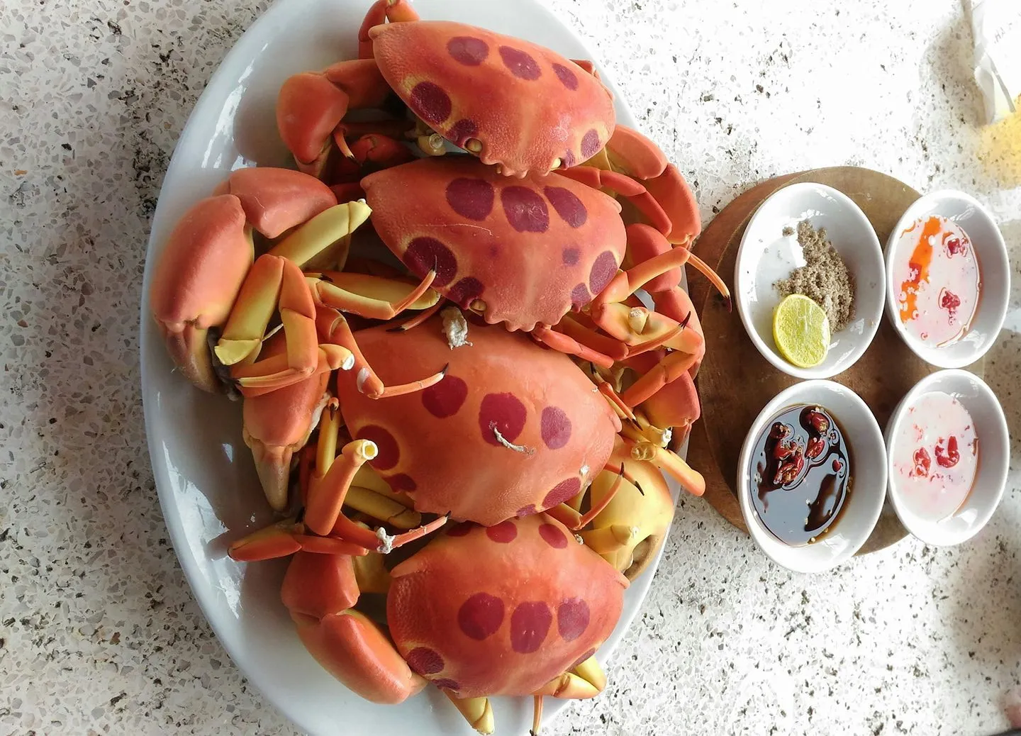 Cua mặt trăng có hình dáng tròn và thịt ngọt 
