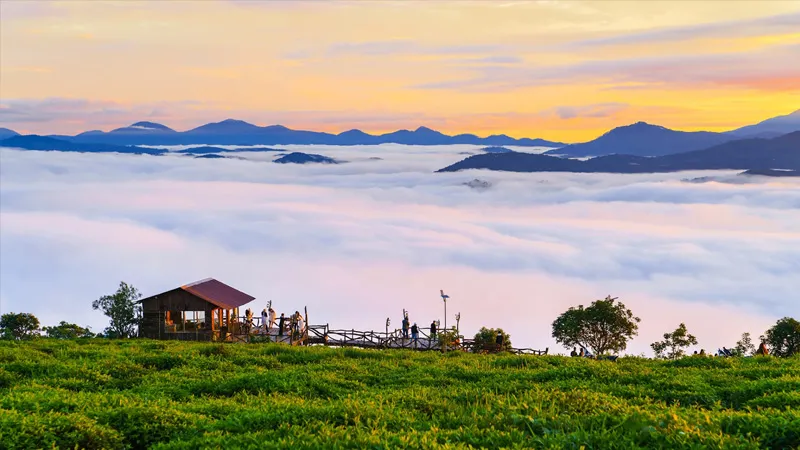 Đồi chè Cầu Đất là địa điểm lý tưởng để săn mây vào sắng sớm
